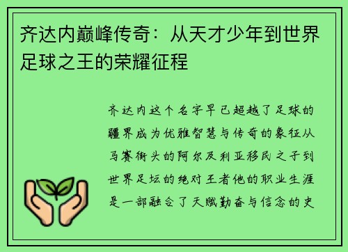 齐达内巅峰传奇：从天才少年到世界足球之王的荣耀征程