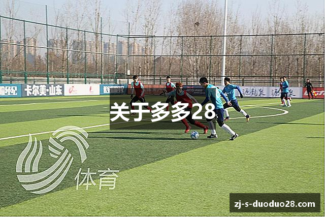 关于多多28